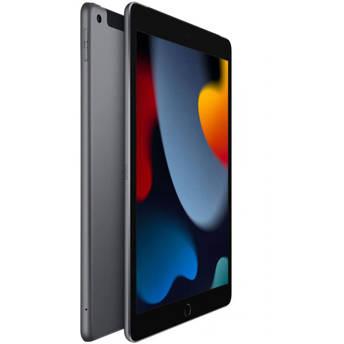 Apple - iPad (2021) - 64 Go - Wi-Fi - Gris Sidéral Apple - Bonnes affaires Tablette tactile